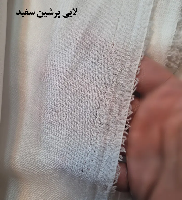 عکس لایی پرشین سفید